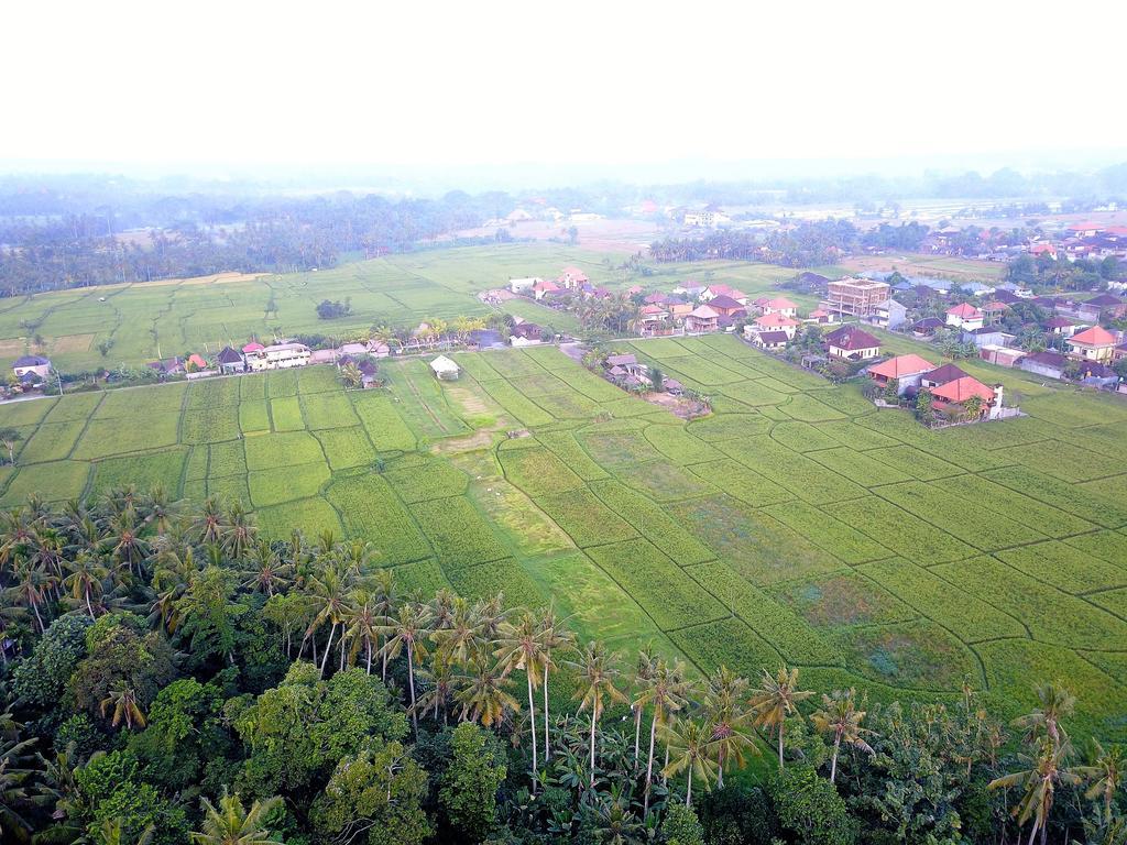 Hotel Pangkung Sari à Ubud Extérieur photo