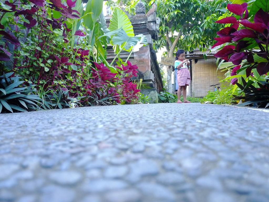 Hotel Pangkung Sari à Ubud Extérieur photo